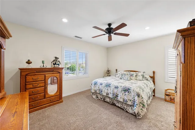 a view of a garden with plants and large trees