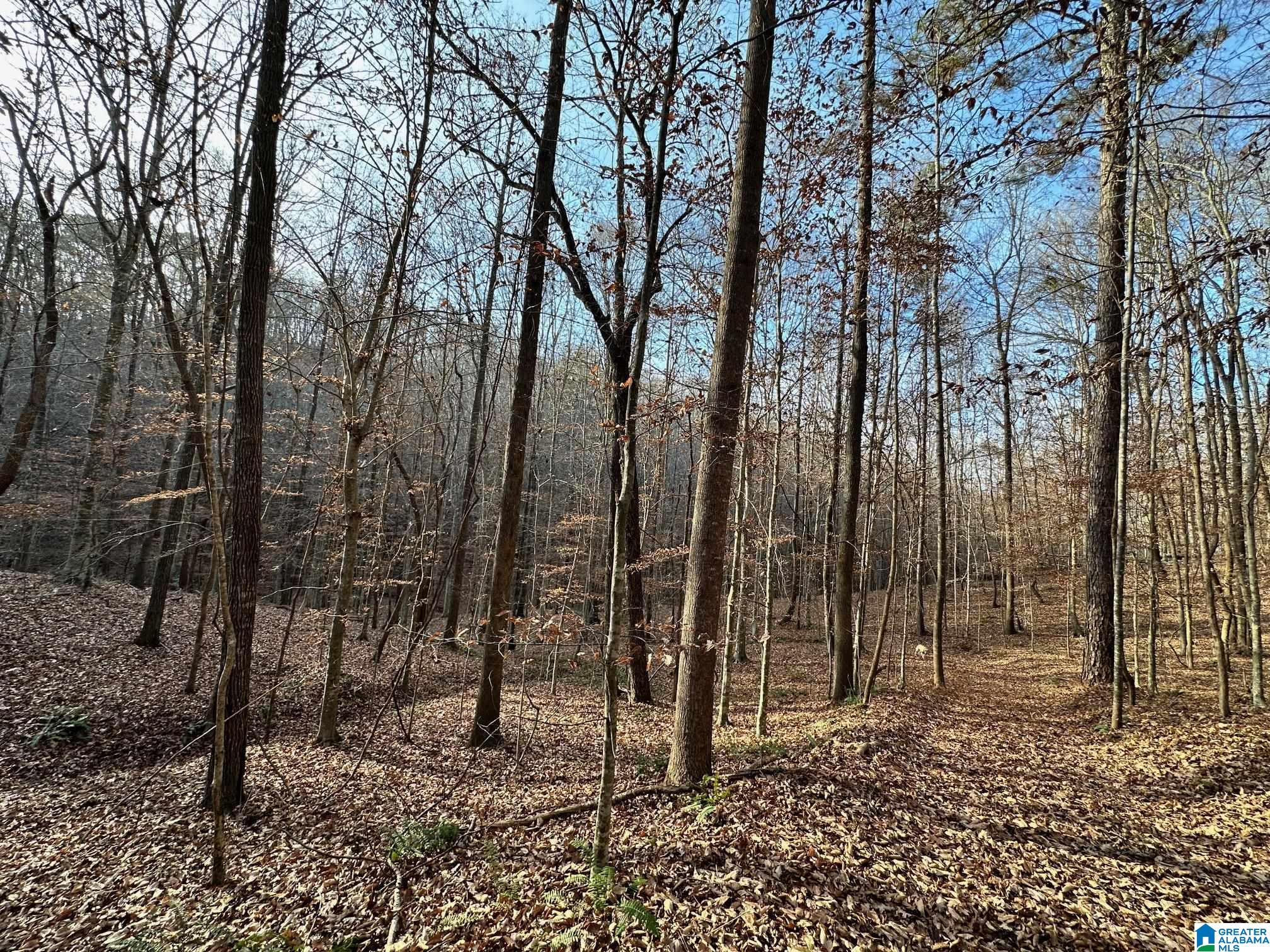 600 Earl Roberts Road, Unit 35 Anniston, AL 36207 - Photo 46 of 59 Gallery Image 46