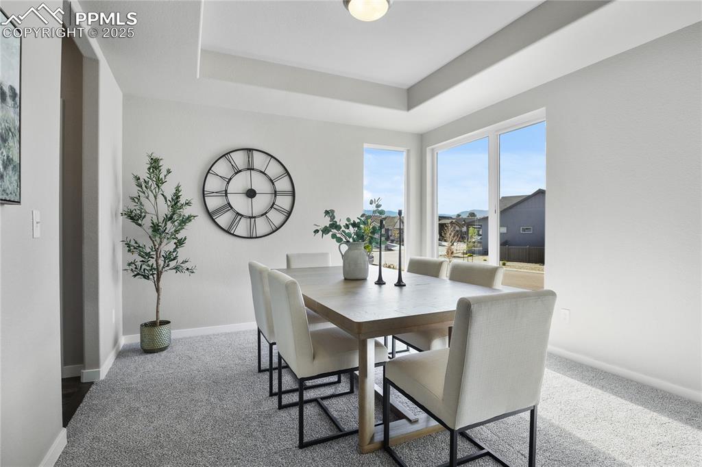 11848 Alydar Loop Colorado Springs, CO 80921 - Photo 20 of 50 Dining area with carpet floors, baseboards, and a tray ceiling