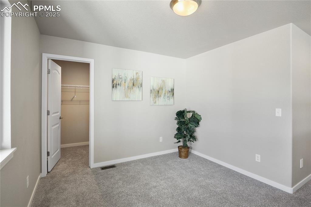 11848 Alydar Loop Colorado Springs, CO 80921 - Photo 21 of 50 Unfurnished bedroom featuring carpet floors, baseboards, and a spacious closet