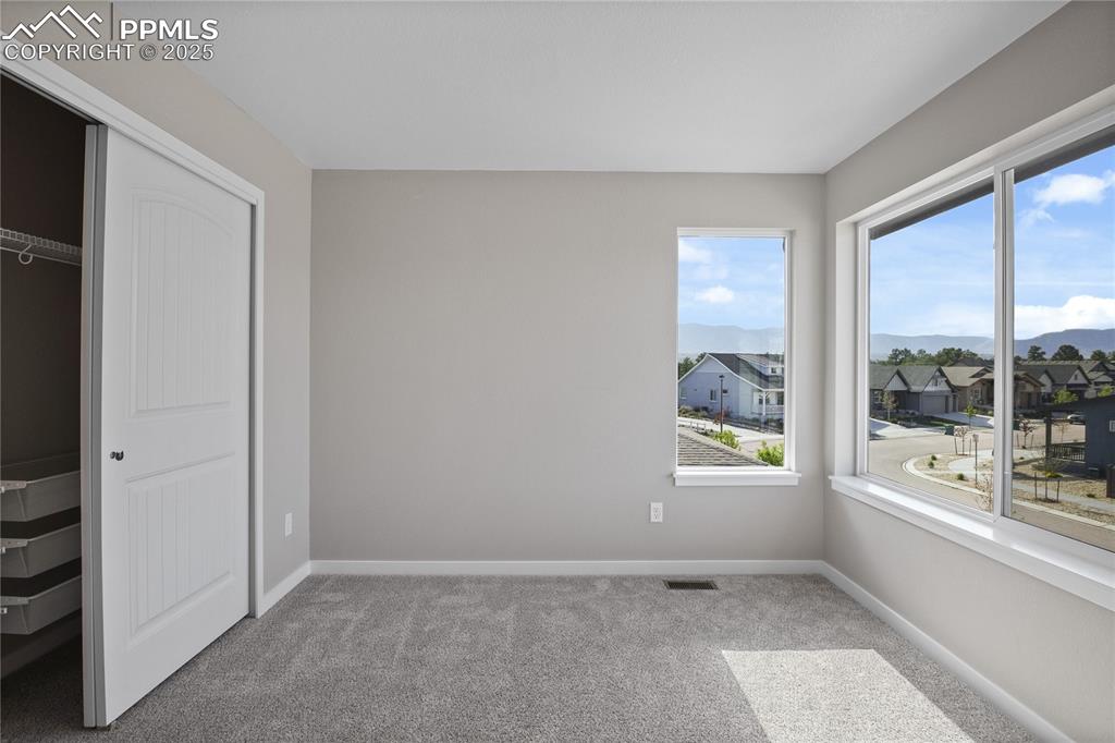 11848 Alydar Loop Colorado Springs, CO 80921 - Photo 24 of 50 Unfurnished bedroom featuring carpet flooring, baseboards, a closet, a residential view, and a mountain view