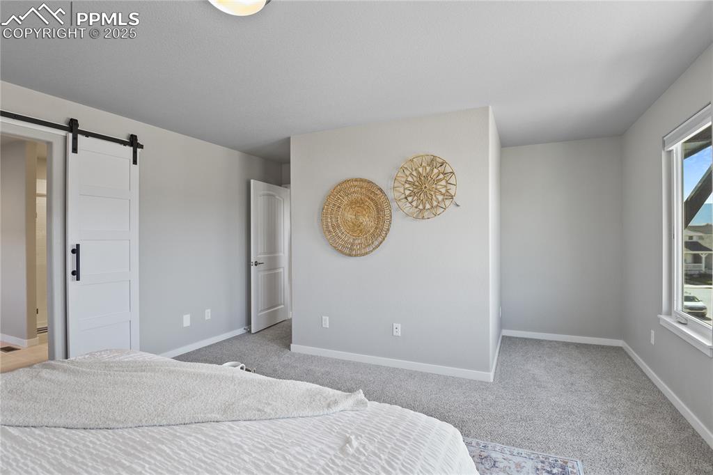11848 Alydar Loop Colorado Springs, CO 80921 - Photo 28 of 50 Carpeted bedroom featuring a barn door and baseboards