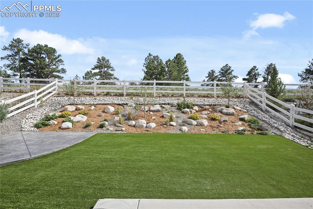 11848 Alydar Loop Colorado Springs, CO 80921 - Photo 44 of 50 View of yard