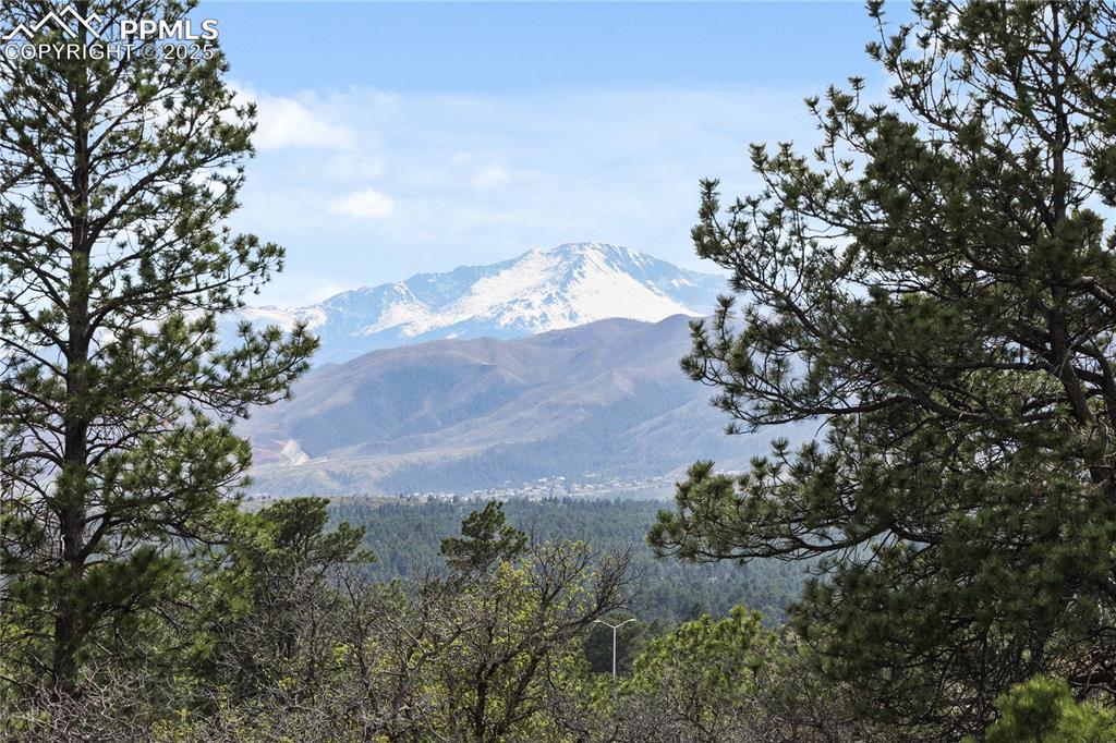 11848 Alydar Loop Colorado Springs, CO 80921 - Photo 48 of 50 Mountain view featuring a forest