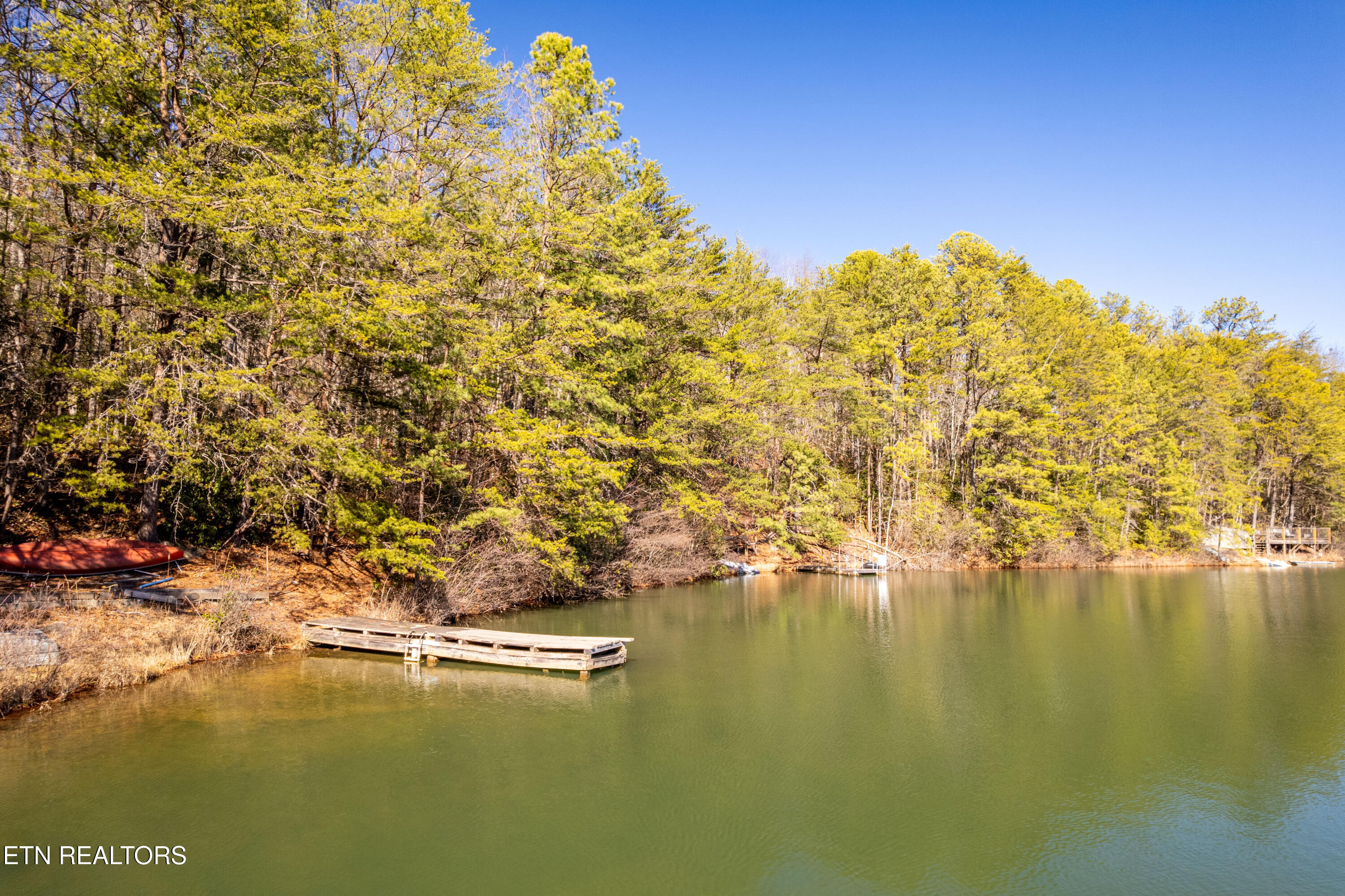 Sandy Stand Road Tallassee, TN 37878 - Photo 14 of 34 Lot 24 shore line