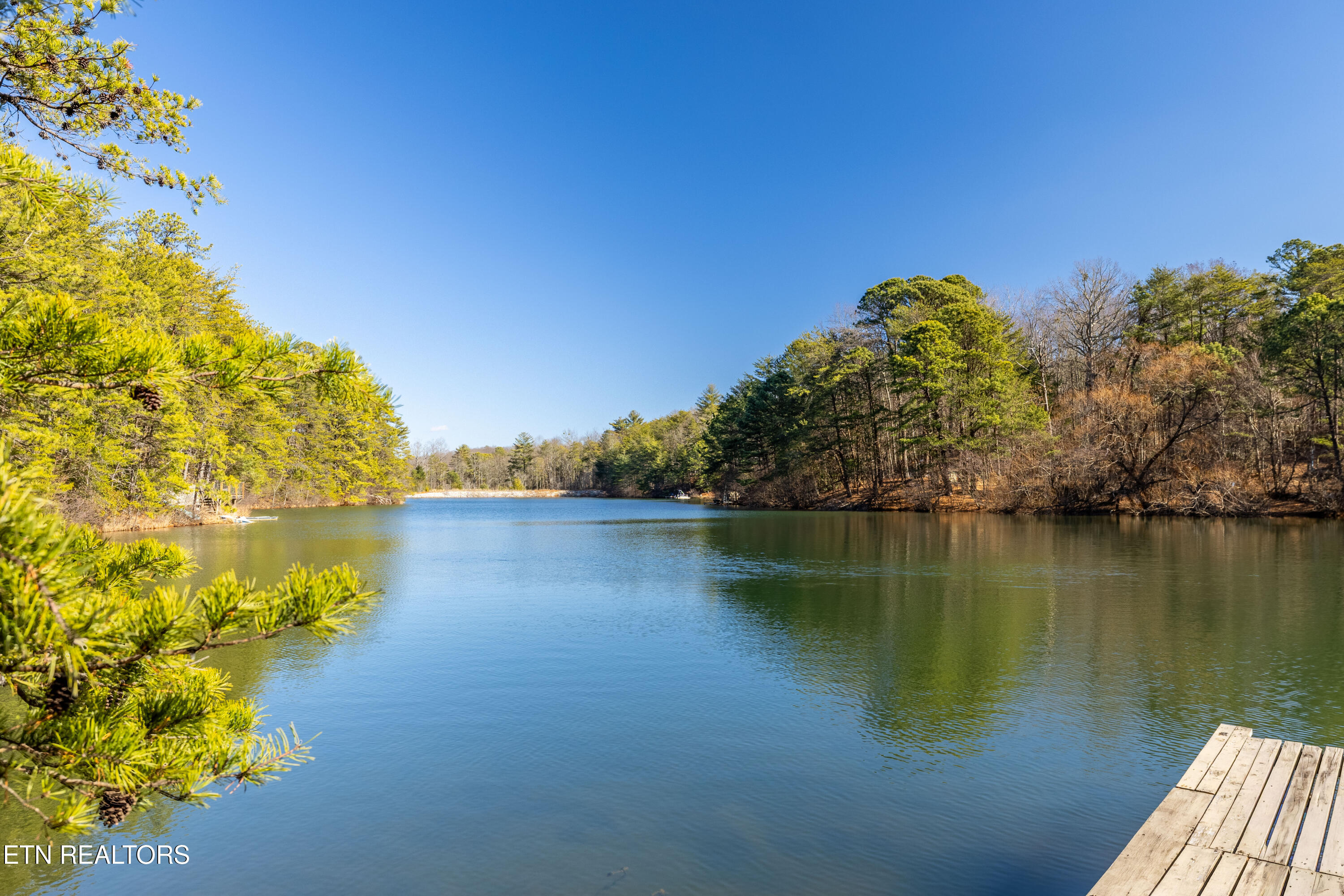 Sandy Stand Road Tallassee, TN 37878 - Photo 16 of 34 View from Lot 24