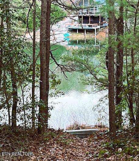 Sandy Stand Road Tallassee, TN 37878 - Photo 2 of 34 View from Lot 24