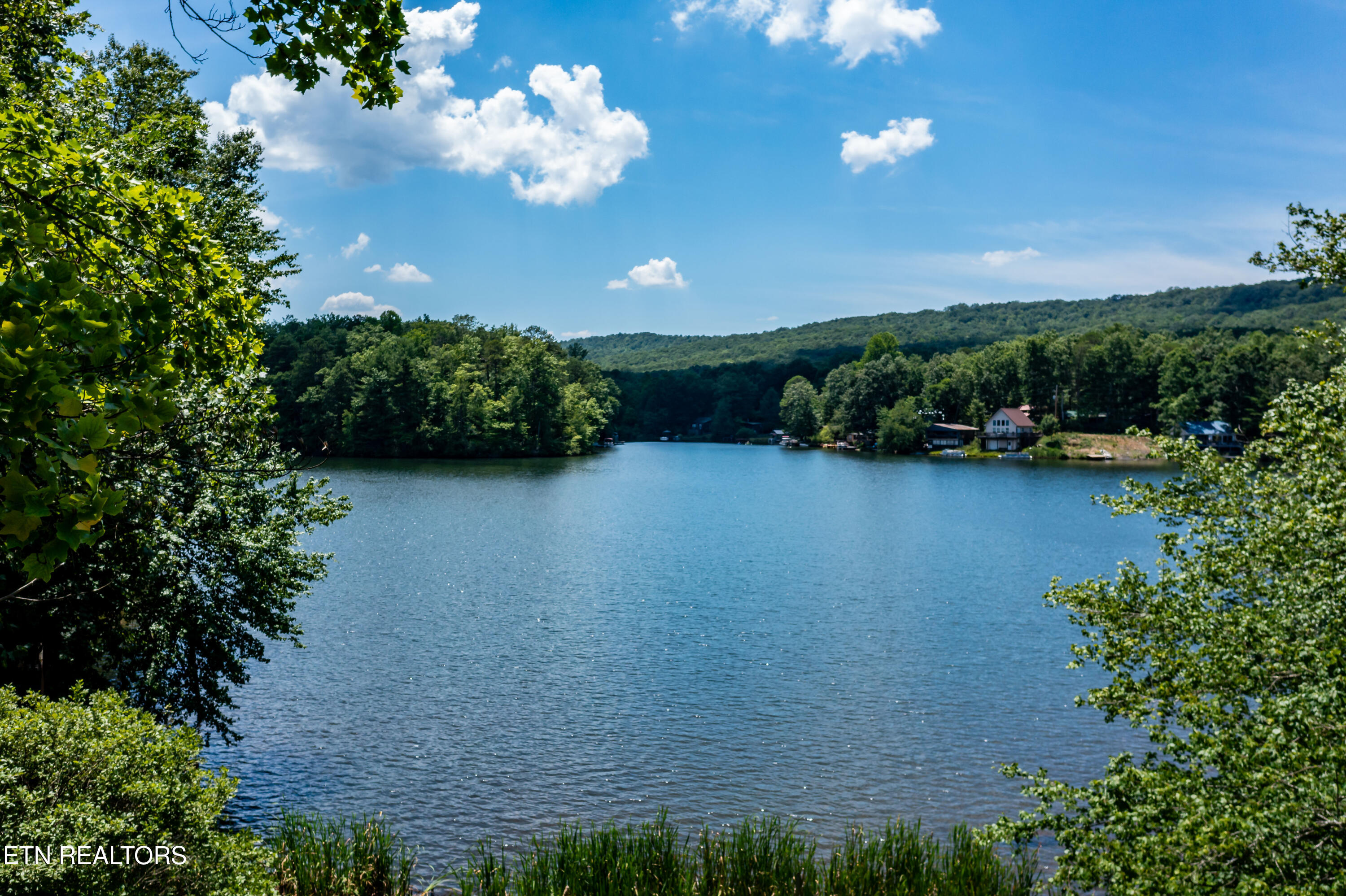 Sandy Stand Road Tallassee, TN 37878 - Photo 30 of 34 Such Beauty!