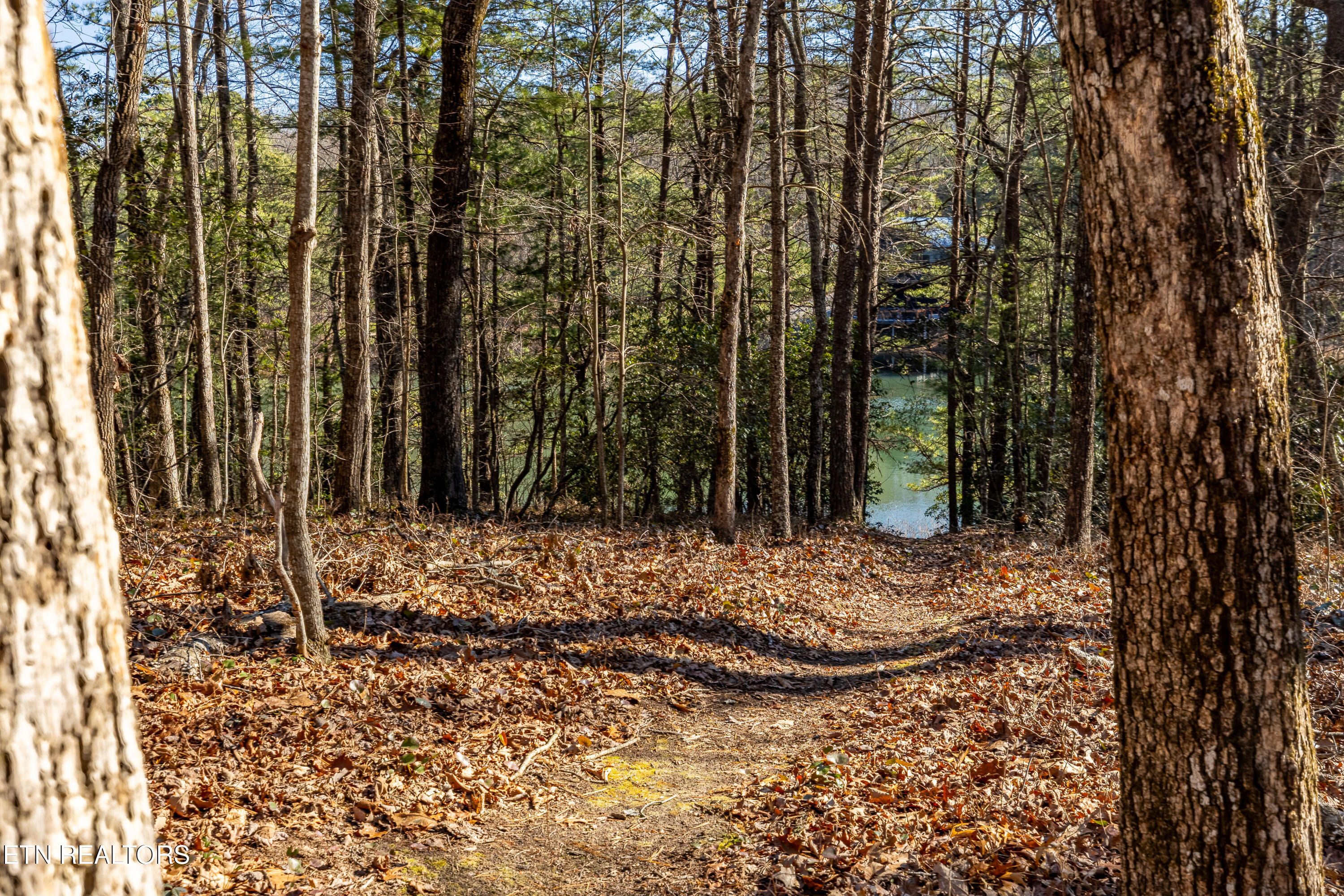 Sandy Stand Road Tallassee, TN 37878 - Photo 3 of 34 Trail to the Lake!