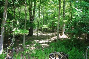 Watermelon Hill Road Mahopac, NY 10541 - Photo 1 of 1