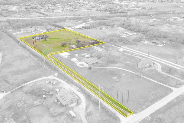 a view of a park with a large tree