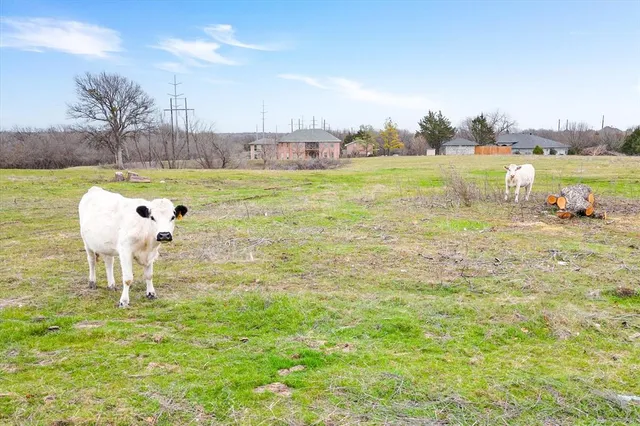 a view of a swimming pool and a yard