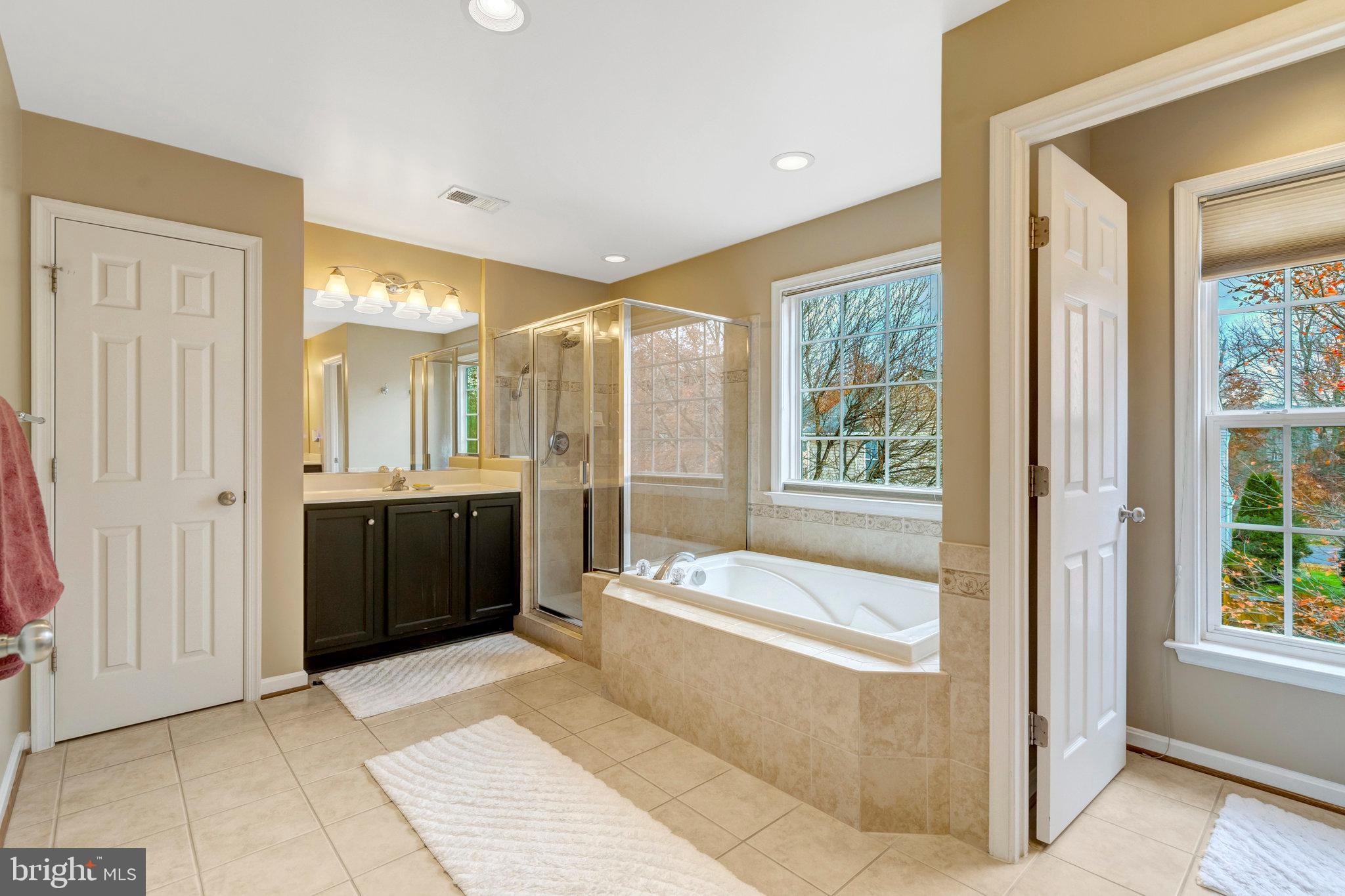 7726 Yalta Way Gainesville, VA 20155 - Photo 54 of 75 a bathroom with a tub a sink and a large mirror