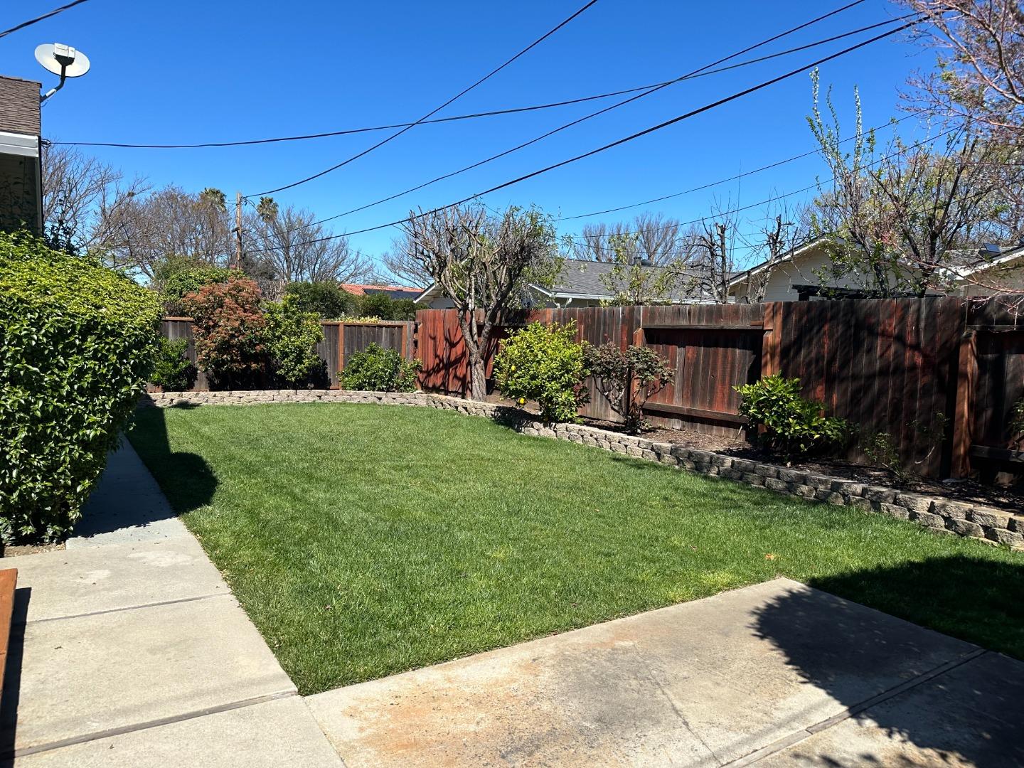 2046 Anthony Drive Campbell, CA 95008 - Photo 17 of 18 a view of a backyard with potted plants and large trees
