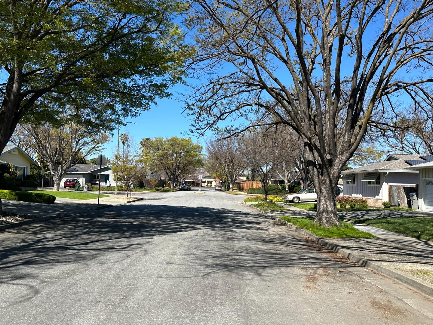 2046 Anthony Drive Campbell, CA 95008 - Photo 18 of 18 a view of yard with tree in it