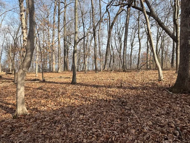 $20,000 | 1096-97 Lake Wildwood Drive, Varna, IL 61375