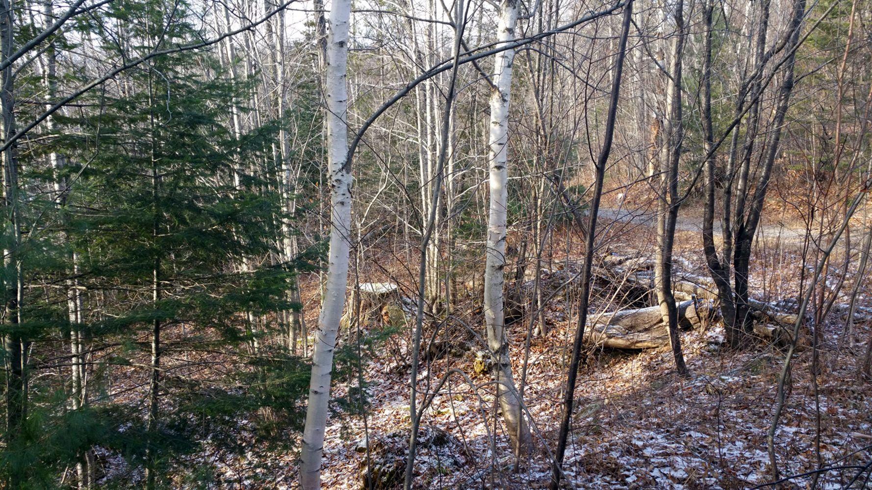 549-567 Pierce Hill Road Moscow, ME 04920 - Photo 13 of 30 20171127_141716_1518804634385