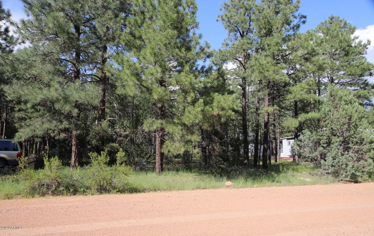 2150 Wildflower Road, Unit 165 Overgaard, AZ 85933 - Photo 3 of 6 20170902154153115234000000-o
