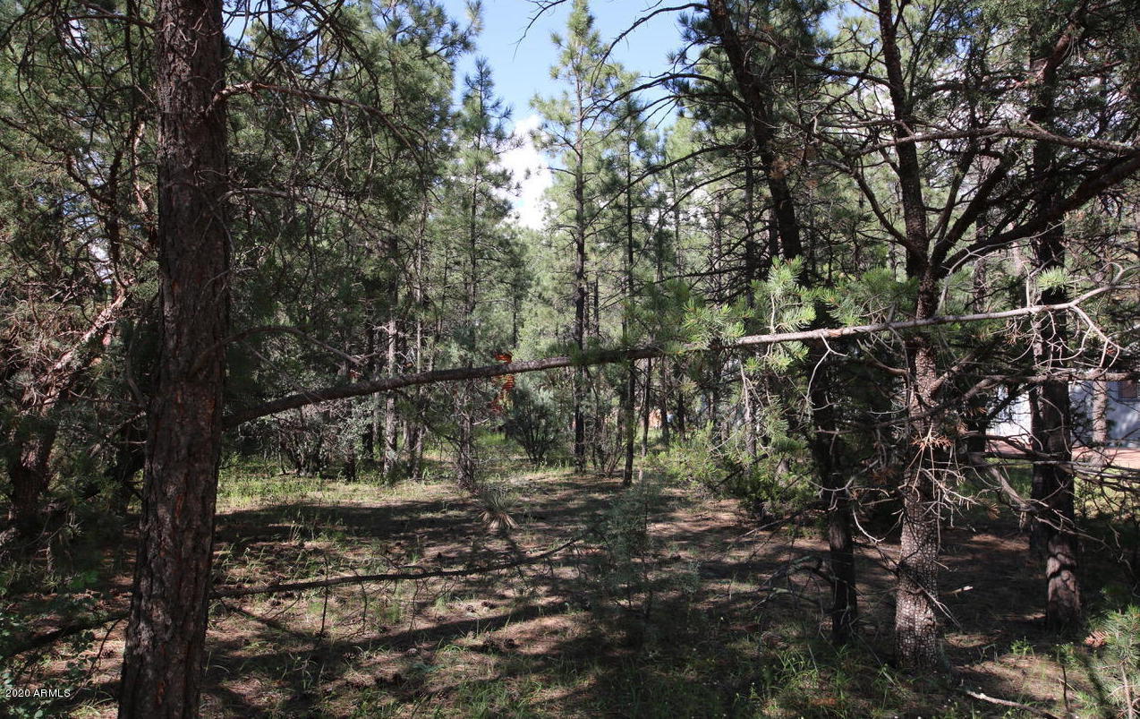 2150 Wildflower Road, Unit 165 Overgaard, AZ 85933 - Photo 4 of 6 20170902154157039844000000-o