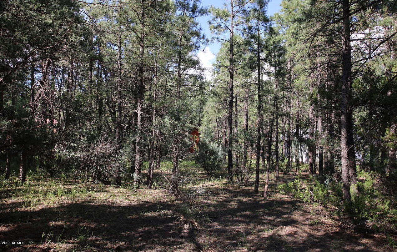 2150 Wildflower Road, Unit 165 Overgaard, AZ 85933 - Photo 5 of 6 20170902154159165449000000-o