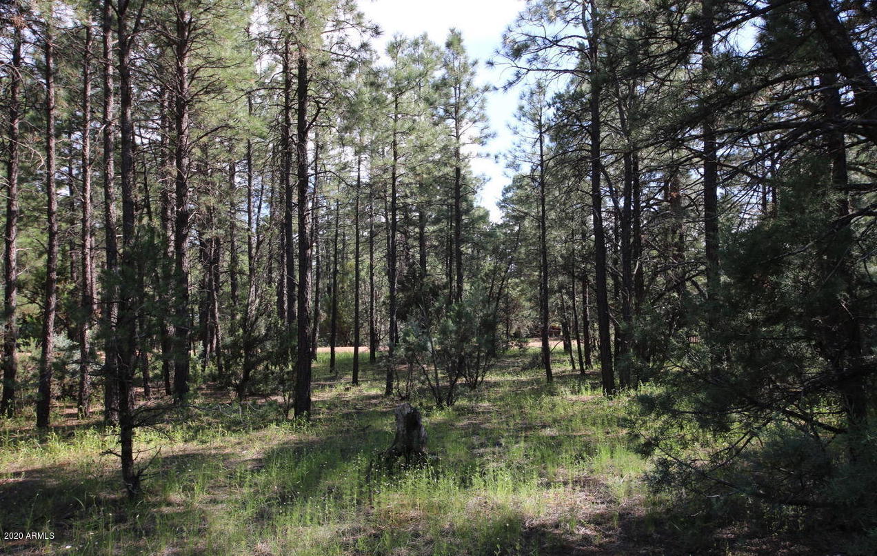 2150 Wildflower Road, Unit 165 Overgaard, AZ 85933 - Photo 6 of 6 20170902154202051154000000-o
