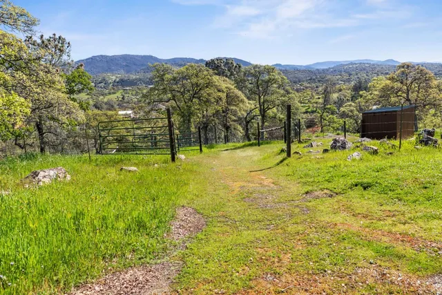 a view of an outdoor space and a yard