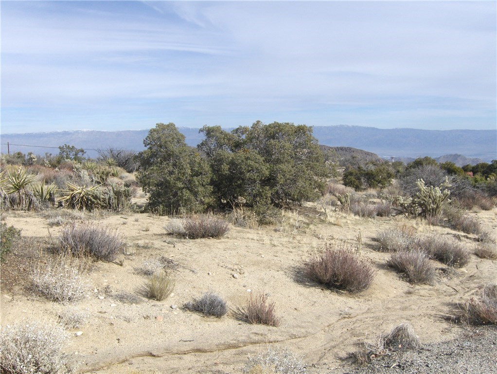 0 Carrizo Road Mountain Center, CA 92561 - Photo 12 of 31 Gallery Image 12