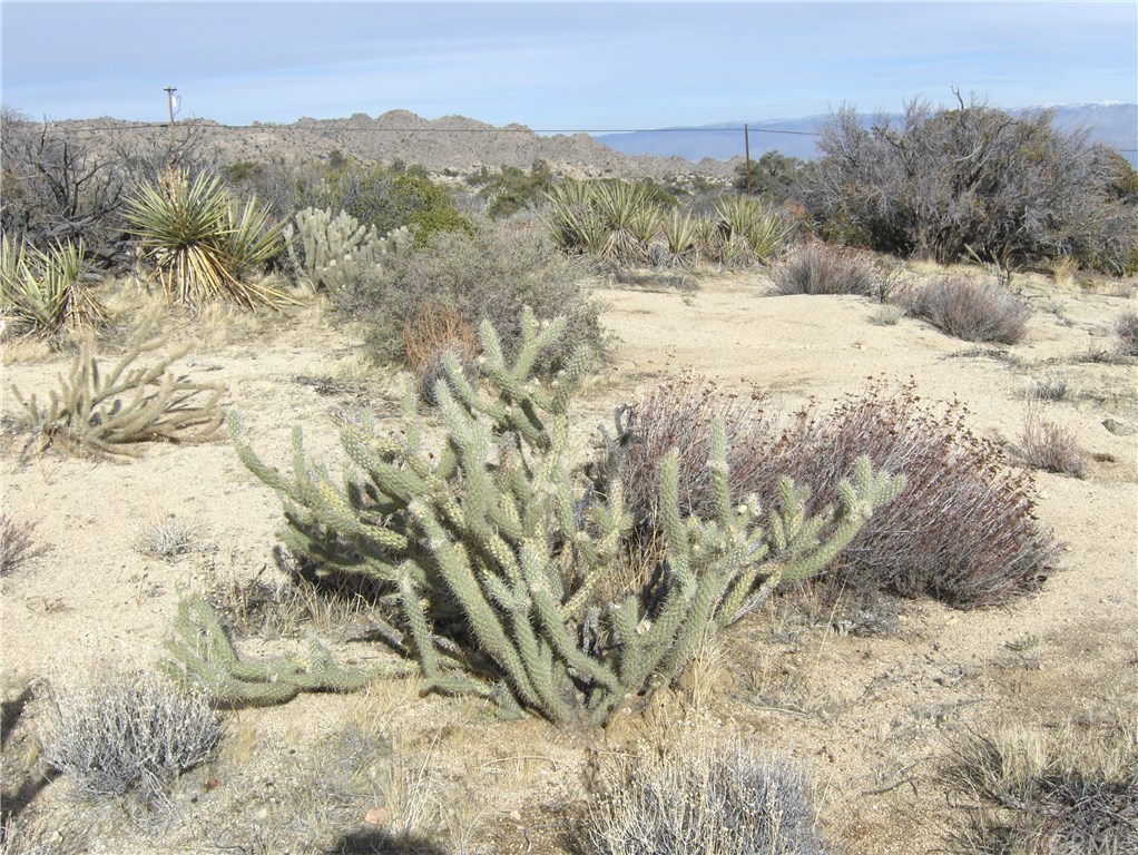 0 Carrizo Road Mountain Center, CA 92561 - Photo 15 of 31 Gallery Image 15