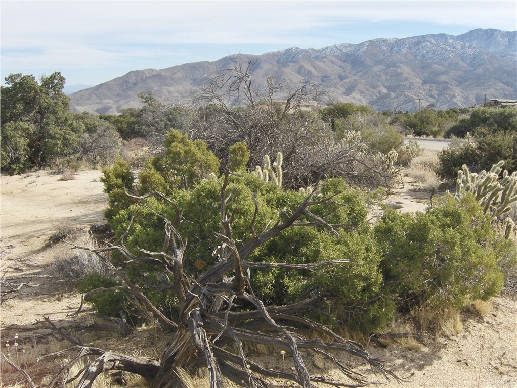 0 Carrizo Road Mountain Center, CA 92561 - Photo 16 of 31 Gallery Image 16