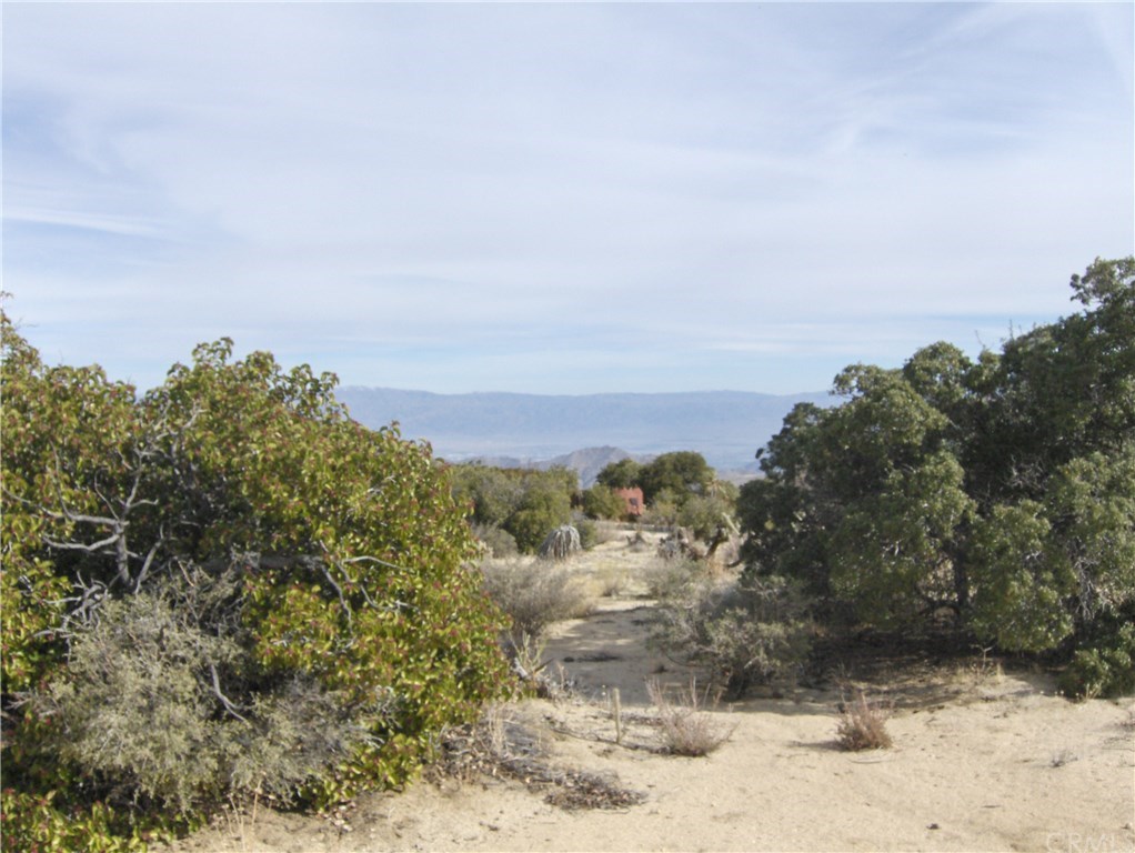 0 Carrizo Road Mountain Center, CA 92561 - Photo 17 of 31 Gallery Image 17