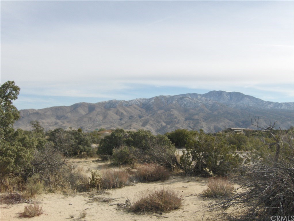 0 Carrizo Road Mountain Center, CA 92561 - Photo 18 of 31 Gallery Image 18