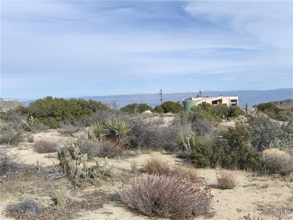 0 Carrizo Road Mountain Center, CA 92561 - Photo 19 of 31 Gallery Image 19