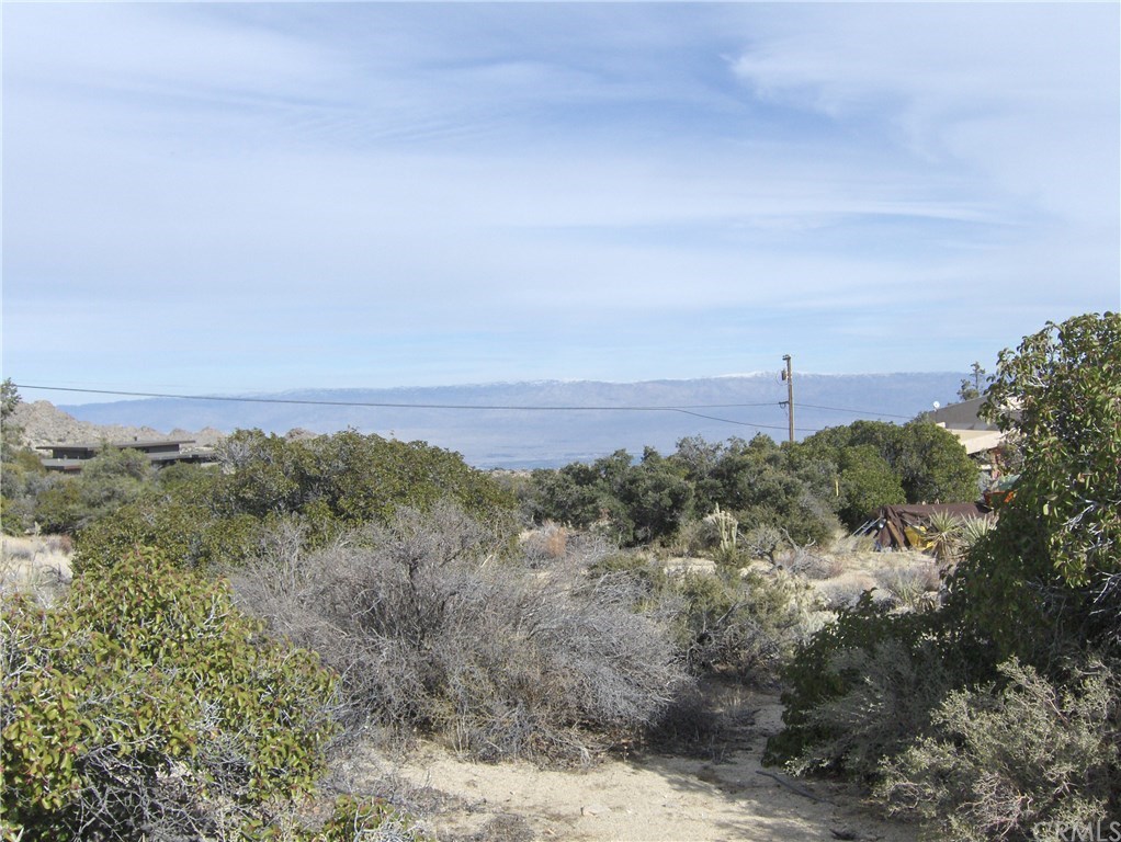 0 Carrizo Road Mountain Center, CA 92561 - Photo 20 of 31 Gallery Image 20