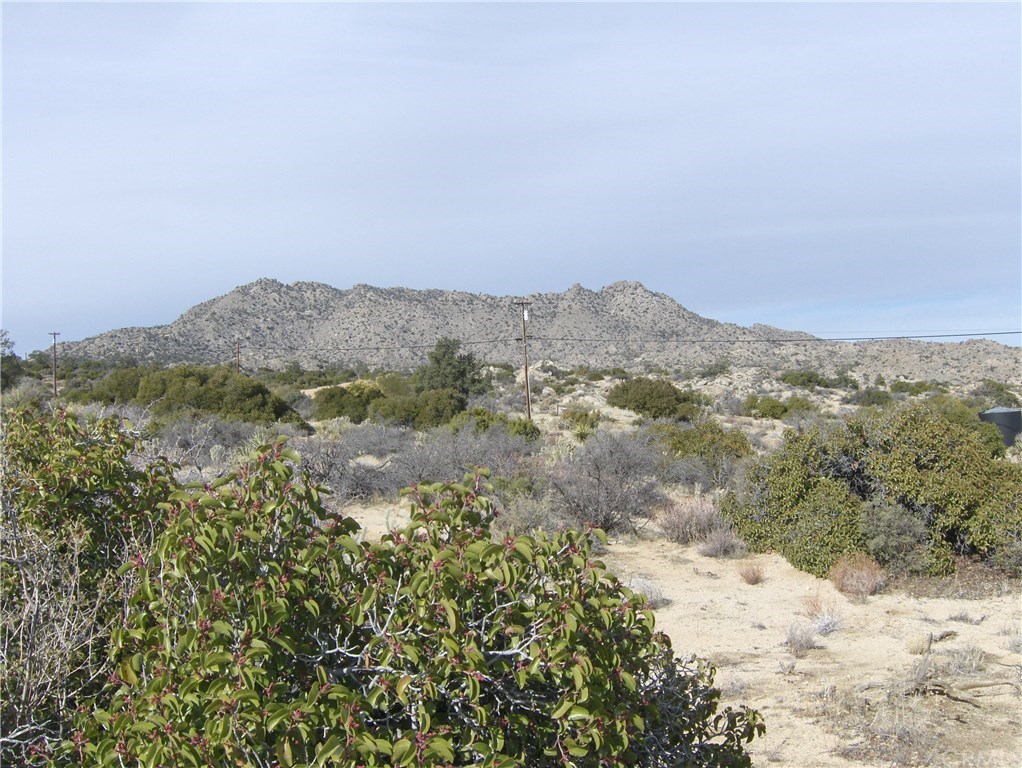 0 Carrizo Road Mountain Center, CA 92561 - Photo 21 of 31 Gallery Image 21