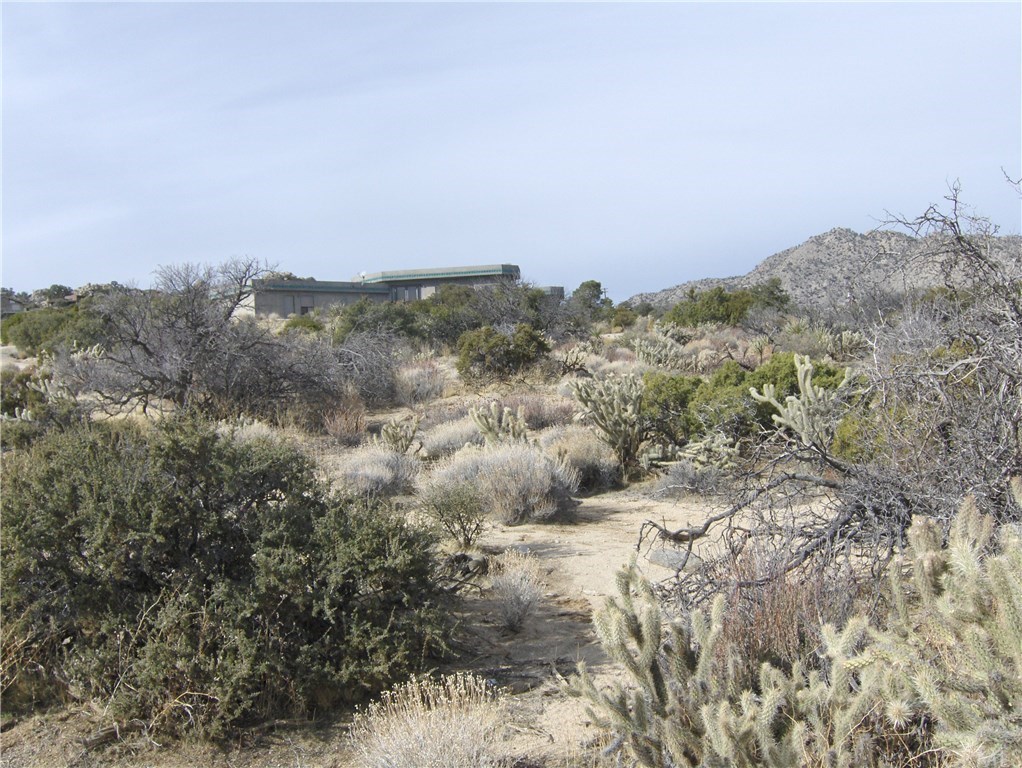 0 Carrizo Road Mountain Center, CA 92561 - Photo 22 of 31 Gallery Image 22