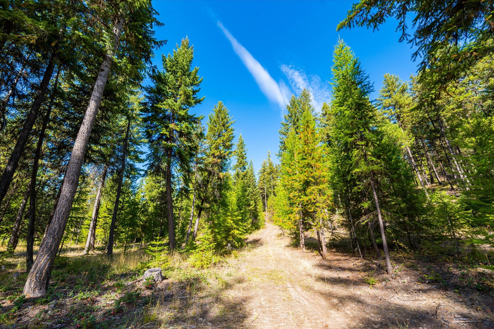 629 Swamp Creek Road Libby, MT 59923 - Photo 104 of 119 Gallery Image 104