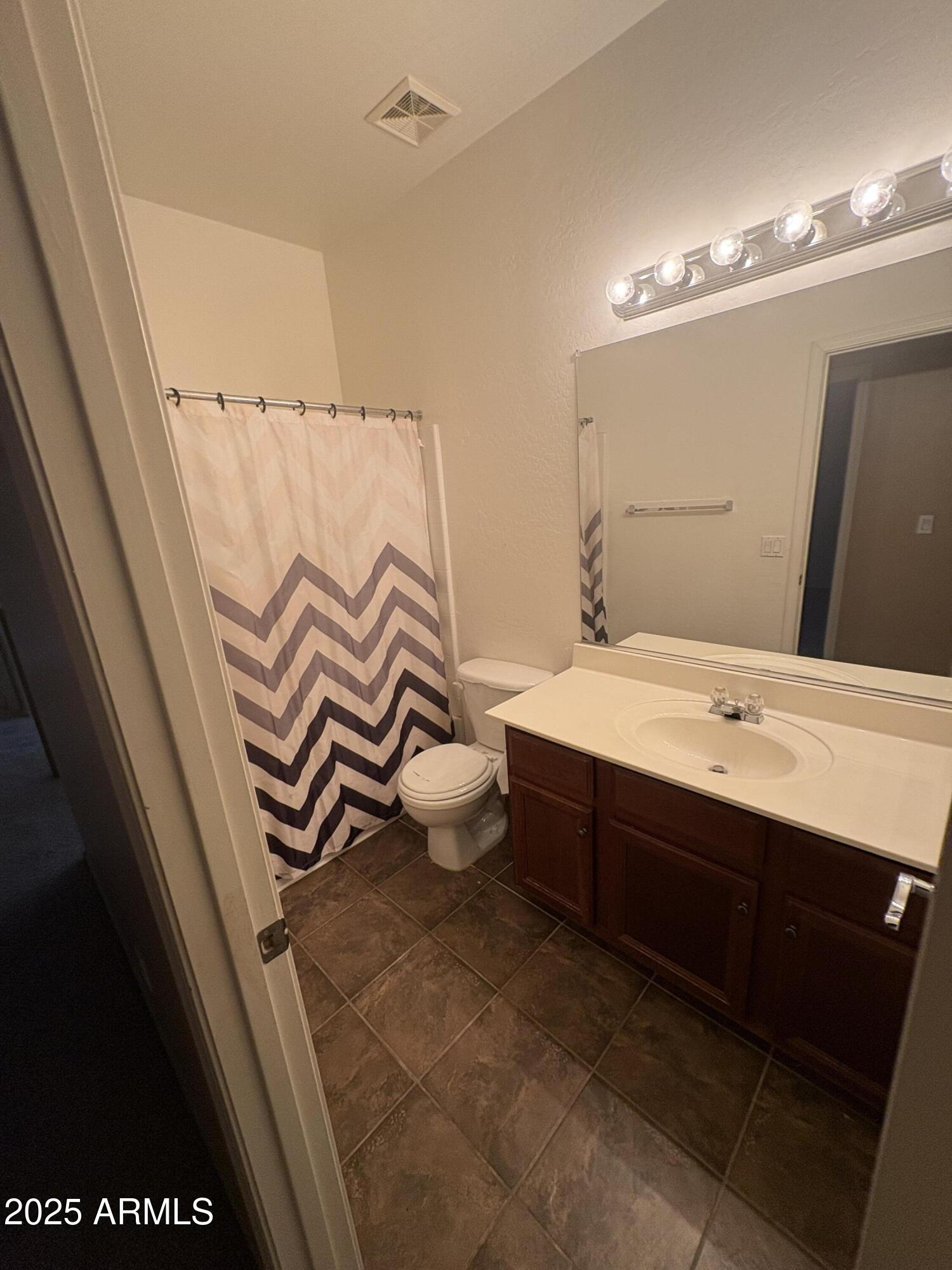 3057 East Pinto Valley Road San Tan Valley, AZ 85143 - Photo 17 of 17 a bathroom with a sink a toilet and a mirror