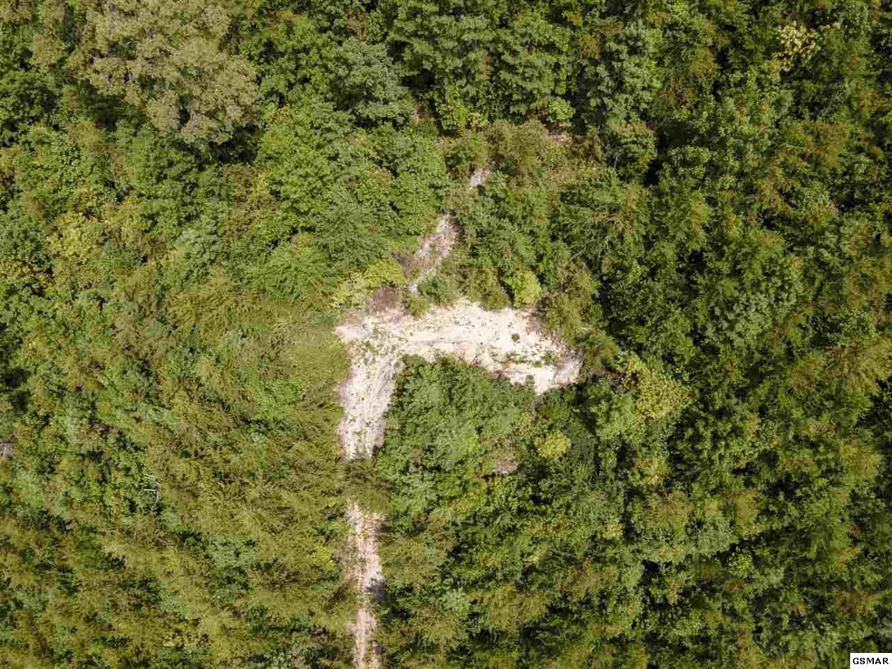 43 Sharp Road Sevierville, TN 37876 - Photo 5 of 24 a view of a forest with a tree
