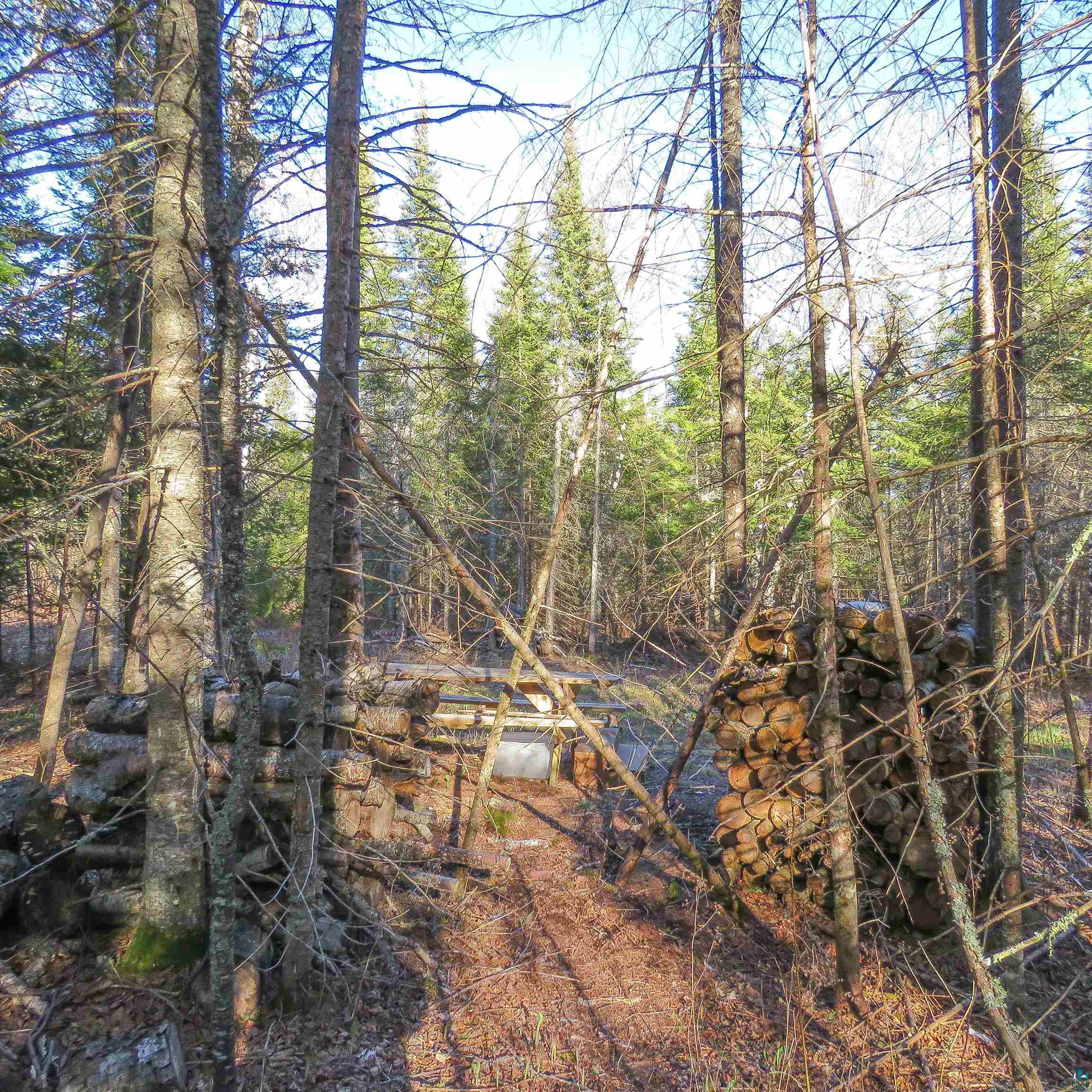435 Cramer Road Schroeder, MN 55613 - Photo 25 of 42