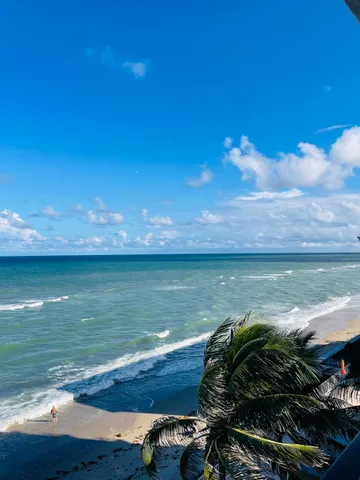a view of a lake from a yard