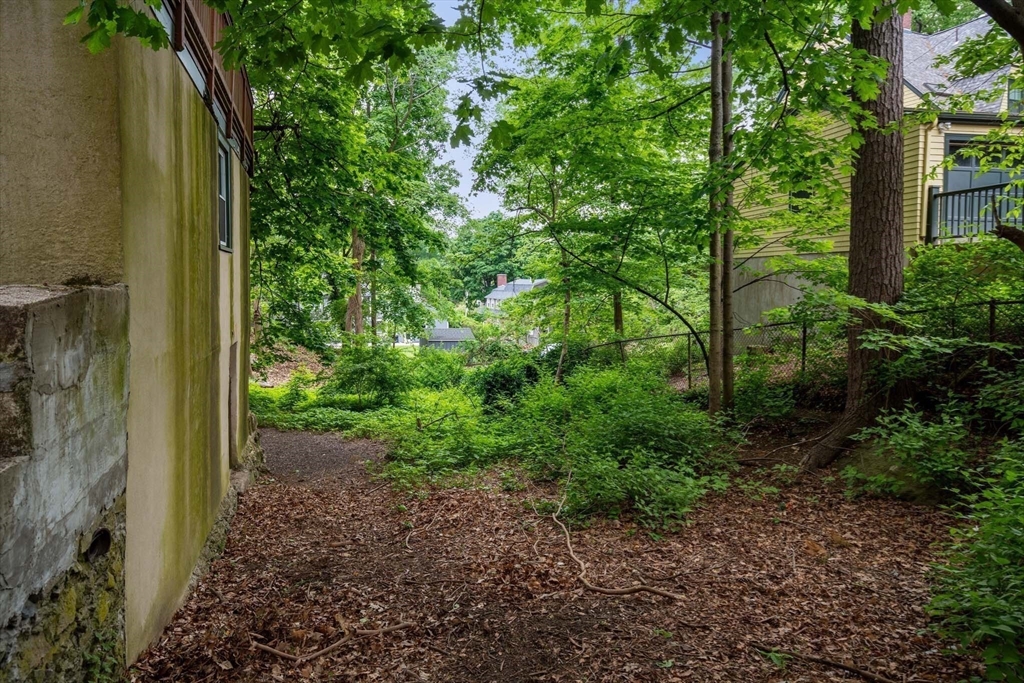 121 Bishopsgate Road Newton, MA 02459 - Photo 29 of 34 a view of a yard with plants and tree