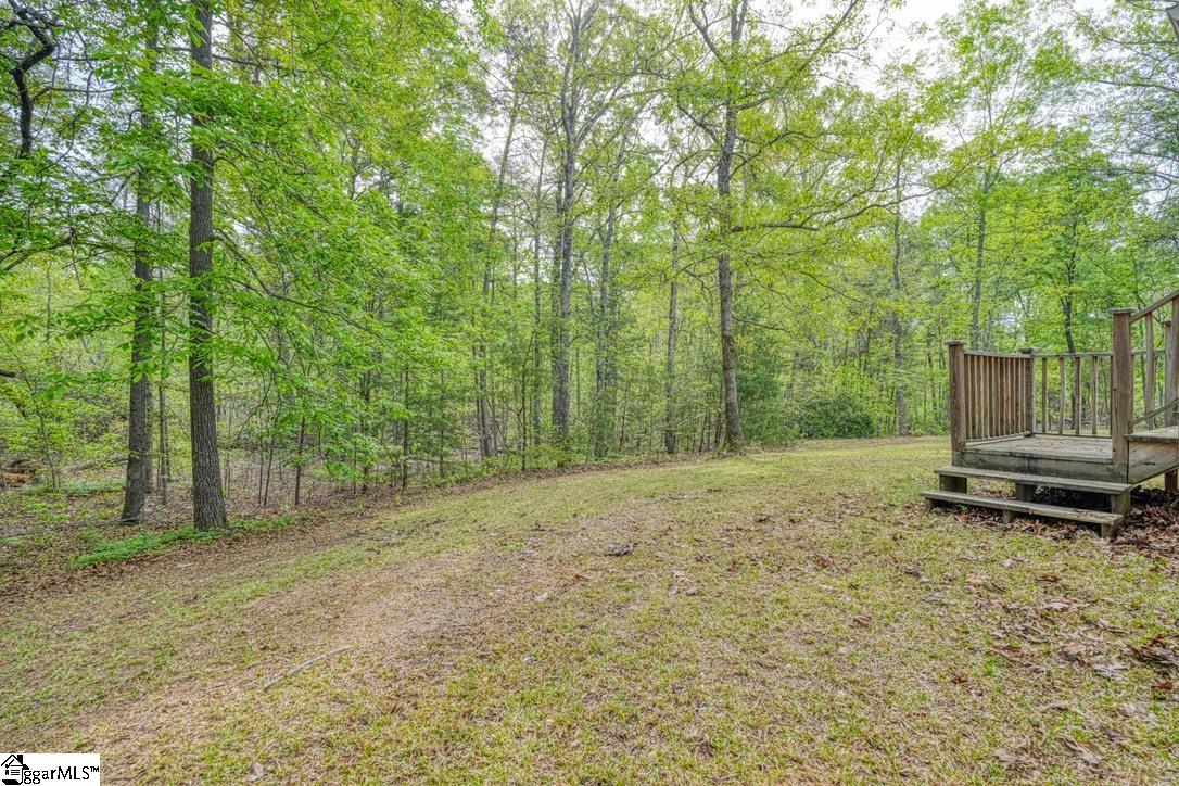 1810 Skunk Hollow Road Campobello, SC 29322 - Photo 21 of 50