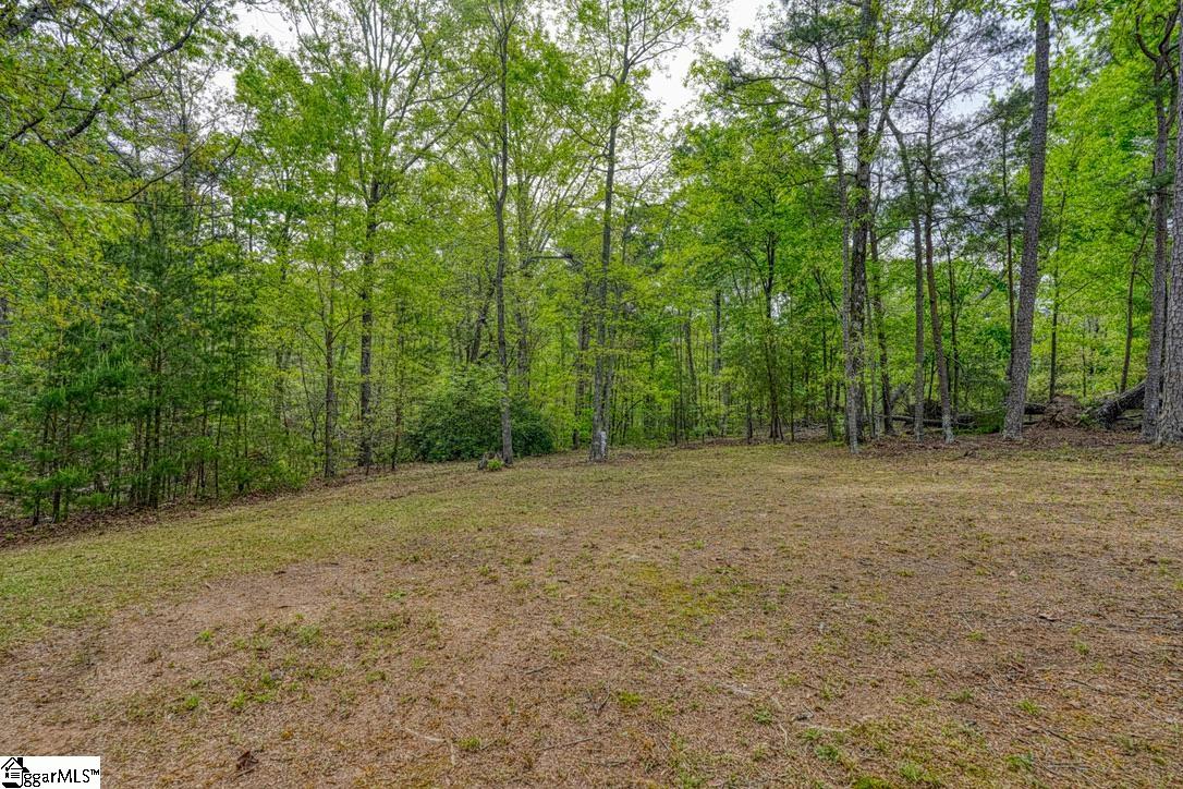 1810 Skunk Hollow Road Campobello, SC 29322 - Photo 29 of 50
