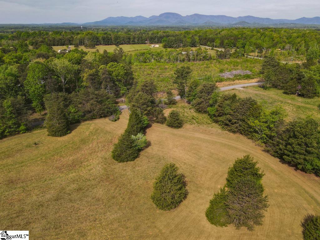 1810 Skunk Hollow Road Campobello, SC 29322 - Photo 35 of 50