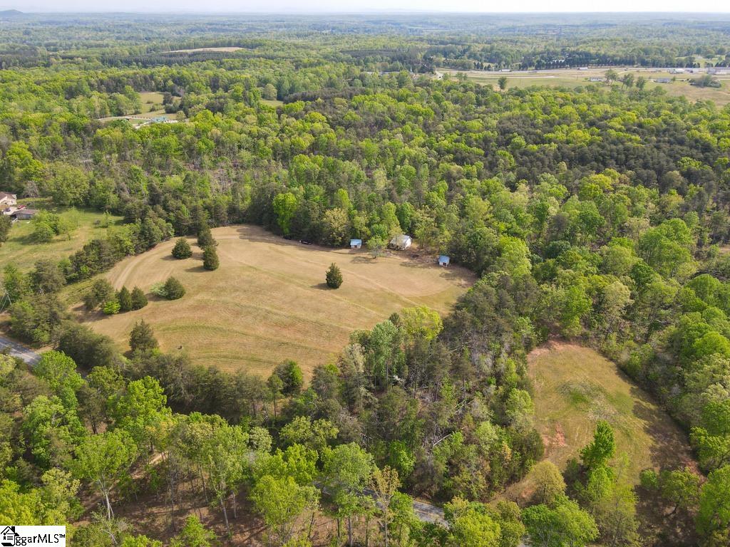 1810 Skunk Hollow Road Campobello, SC 29322 - Photo 39 of 50