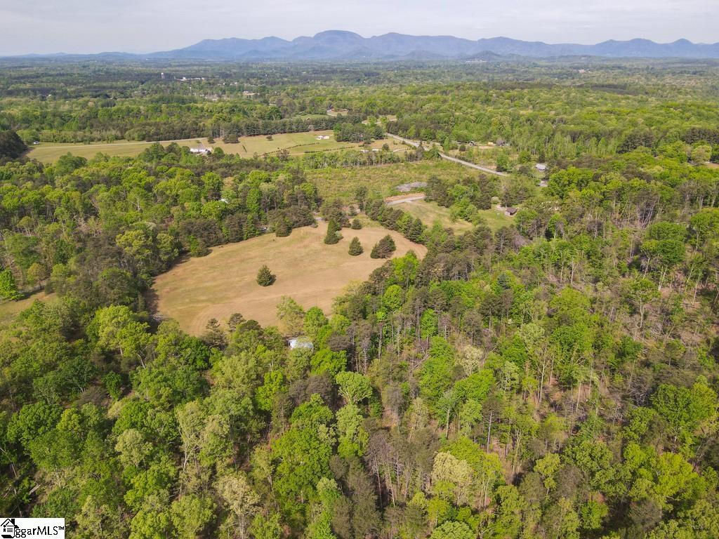 1810 Skunk Hollow Road Campobello, SC 29322 - Photo 44 of 50