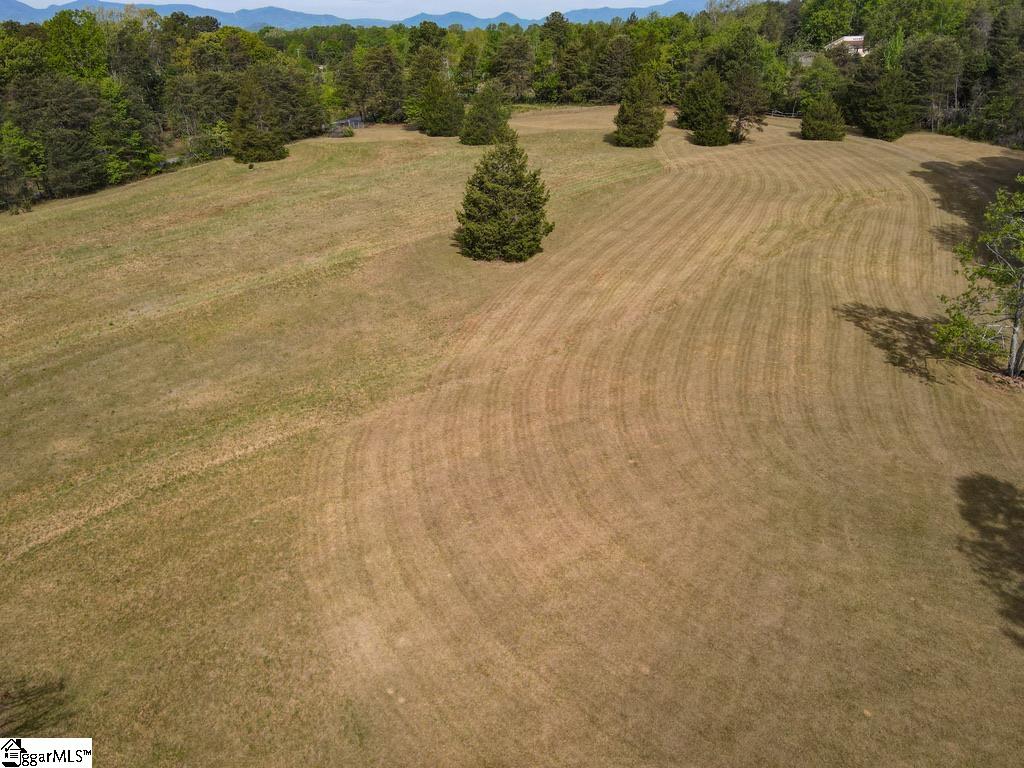 1810 Skunk Hollow Road Campobello, SC 29322 - Photo 49 of 50