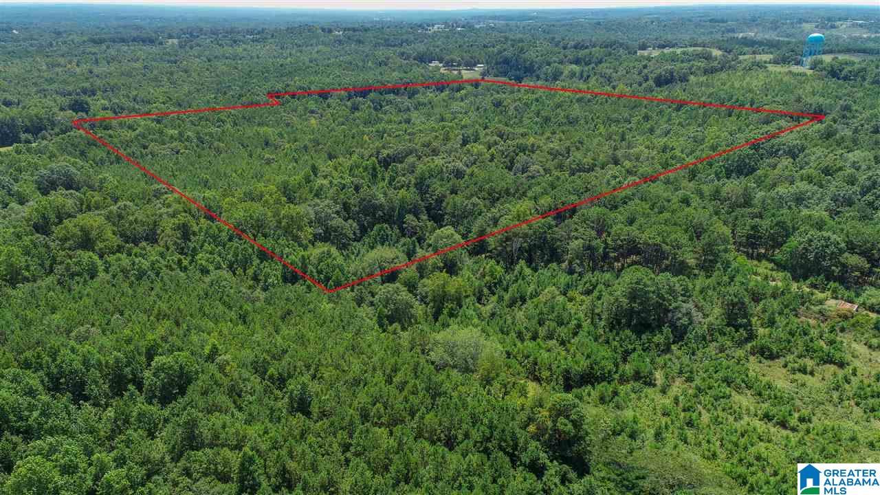 3582 County Road 69, Unit 1 Clanton, AL 35045 - Photo 3 of 8