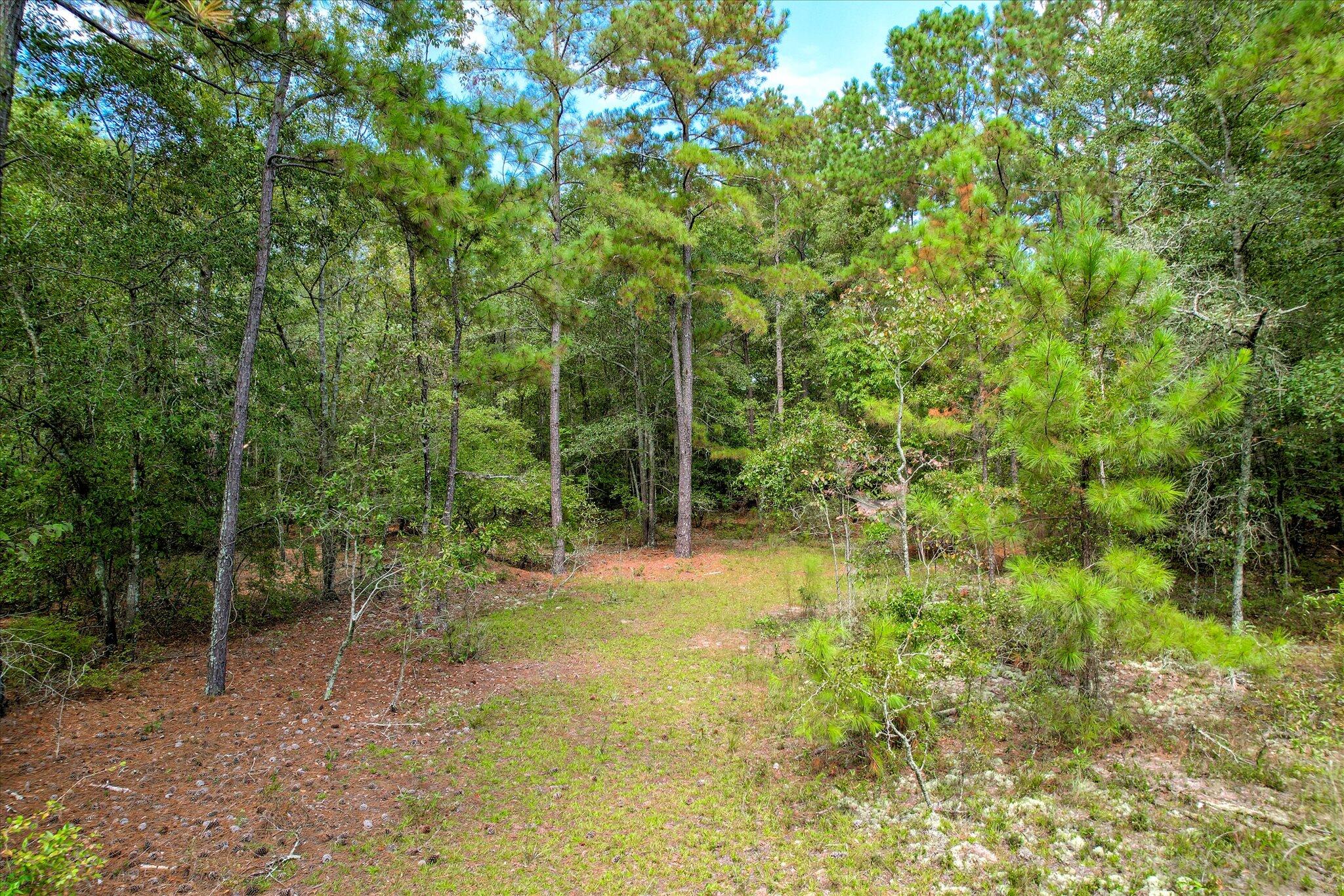001 A Centerwood Road Williston, SC 29853 - Photo 19 of 19