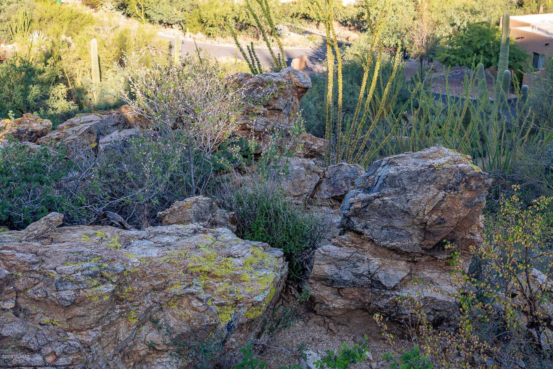 4140 Larkspur Road, Unit 79 Tucson, AZ 85749 - Photo 36 of 50 Gallery Image 36